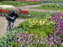 stop and smell the tulips!